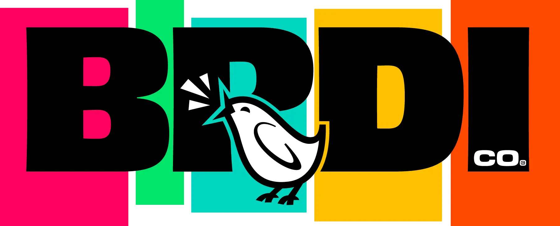 BRDI Co. in full color